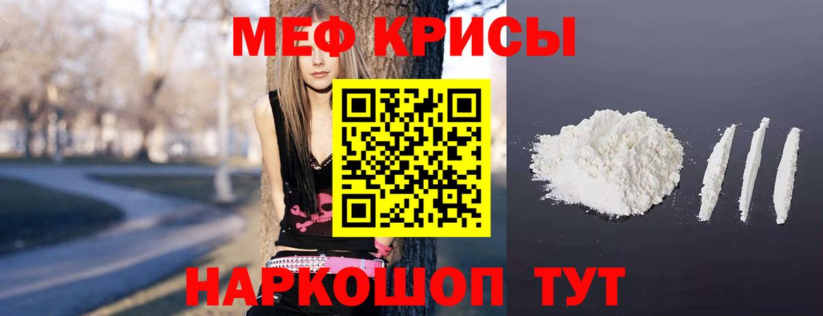 МЕФ  Балтийск